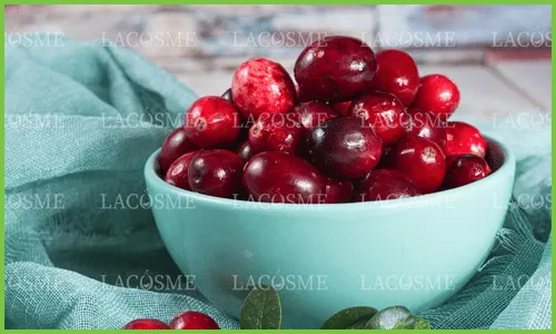 Lợi ích của chiết xuất Bearberry đối với da