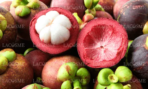 Chiết xuất trái măng cụt là gì? Công dụng tuyệt vời cho sức khỏe và làn da 2 Chiết xuất trái măng cụt là gì?