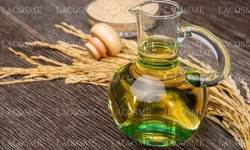 Cách làm dầu nóng xoa bóp thảo dược: Hướng dẫn tự làm tại nhà đơn giản và hiệu quả 3 Cách làm dầu nóng xoa bóp thảo dược: Hướng dẫn tự làm tại nhà đơn giản và hiệu quả 3