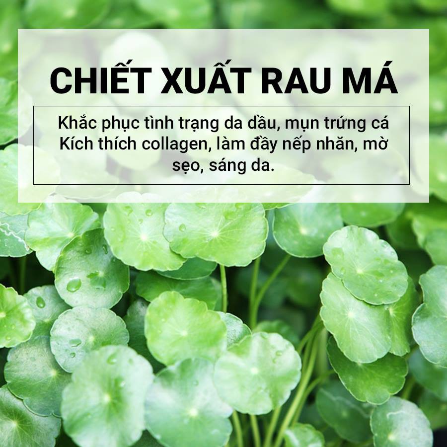 Chiết xuất rau má (Centella Asiatica Extract) - LACOSME - Nguyên liệu ...