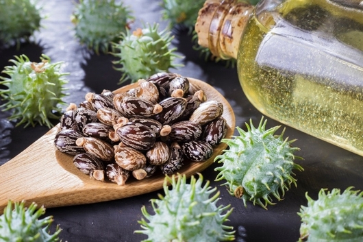 Dầu thầu dầu (Castor Oil)