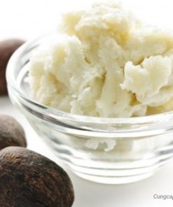 Bơ hạt mỡ - Shea Butter - Bơ Shea