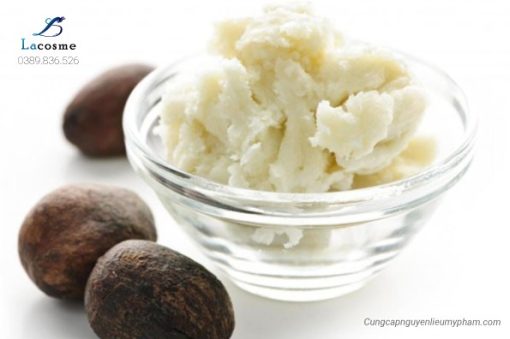 Bơ hạt mỡ - Shea Butter - Bơ Shea