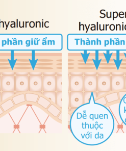 Hyaluronic Acid (HA)