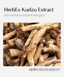 HerbEx Kudzu Extract