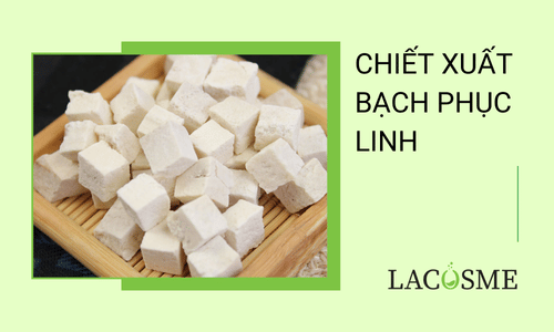 Chiết Xuất Bạch Phục Linh