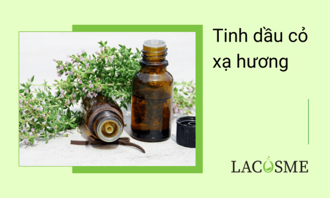 Tinh dầu cỏ xạ hương là gì ? Sử dụng thế nào cho an toàn? 11