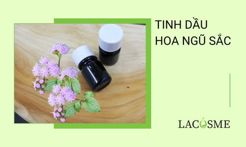 Tinh dầu hoa ngũ sắc trong điều chế mỹ phẩm chăm sóc da 8