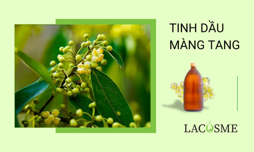 Tinh dầu màng tang là gì? Những lợi ích sức khỏe bạn cần biết 12