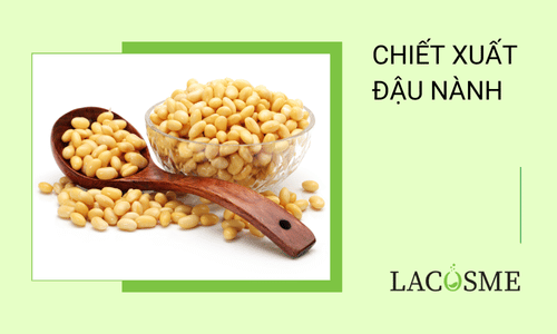 Chiết xuất đậu nành trong sản phẩm chăm sóc da 1