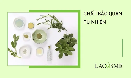 Chất bảo quản tự nhiên là gì? Lợi ích và ứng dụng trong cuộc sống hàng ngày 1