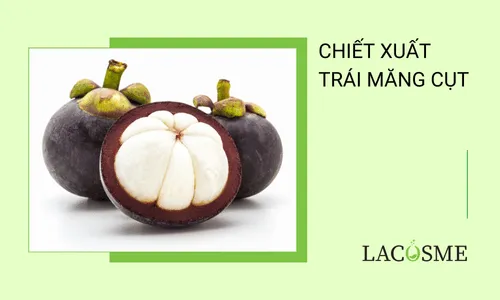 Chiết xuất trái măng cụt là gì? Công dụng tuyệt vời cho sức khỏe và làn da 9