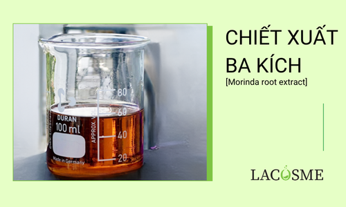 Chiết xuất ba kích [Morinda root extract] Hoạt chất chống lão hóa 1